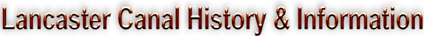 Alucard Inchoate Ltd